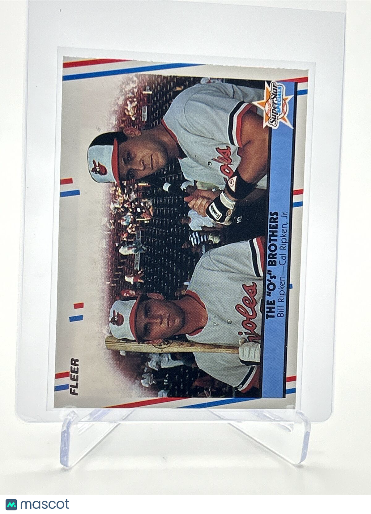 1988 Fleer Bill Ripken/Cal Ripken, Jr. Baseball Card #640 Mint FREE SHIPPING