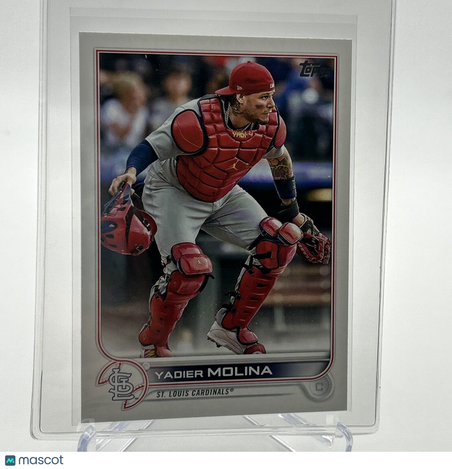 2022 Topps Yadier Molina Baseball Card #205 Mint FREE SHIPPING