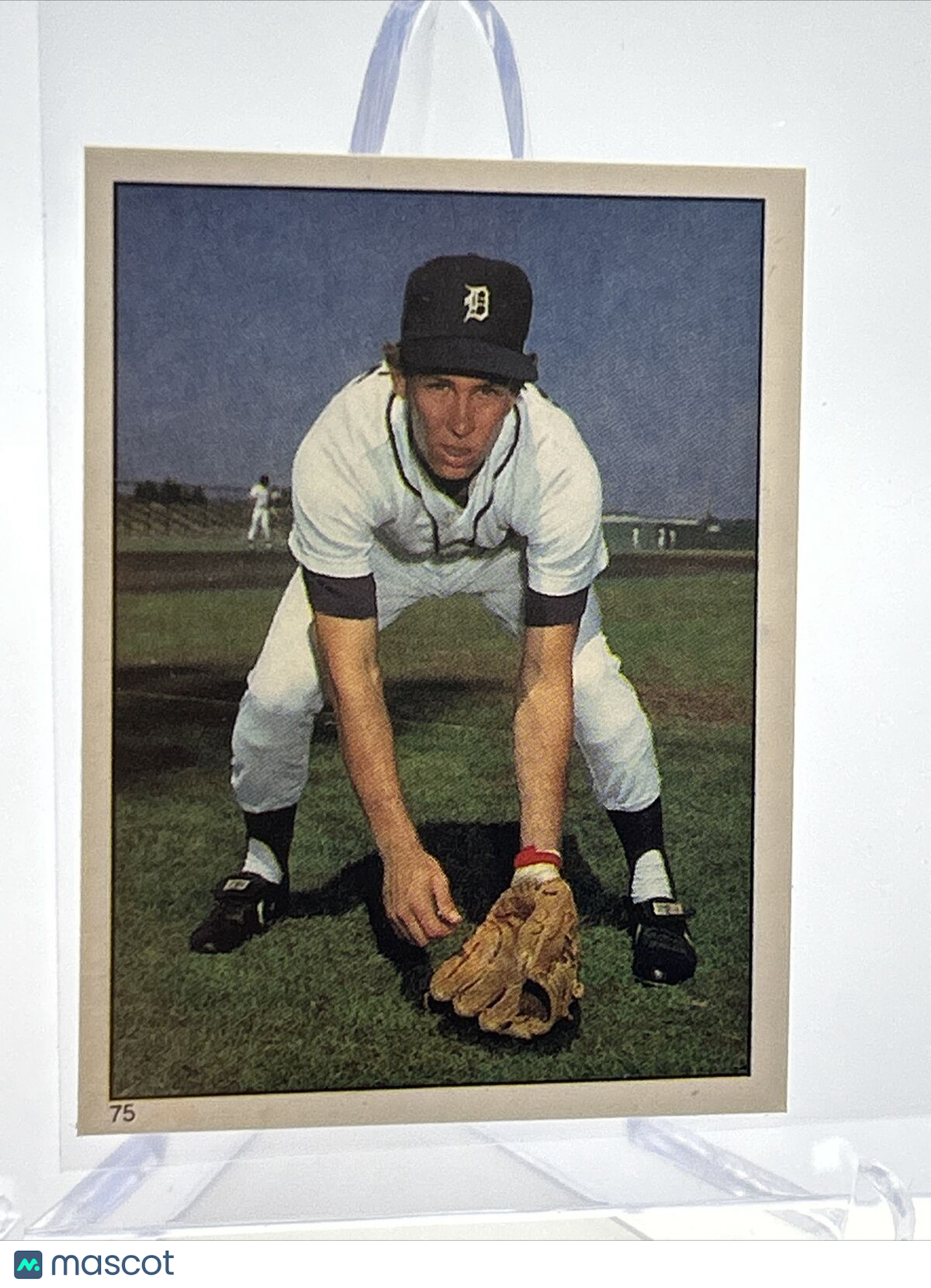 1981 Topps Stickers Alan Trammell Baseball Card #75 NM-Mint FREE SHIPPING