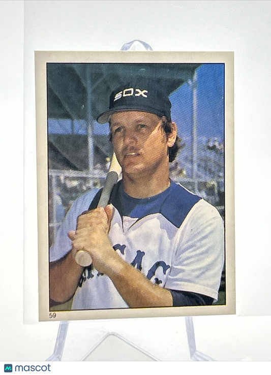 1981 Topps Stickers Wayne Nordhagen Baseball Card #59 NM-Mint FREE SHIPPING