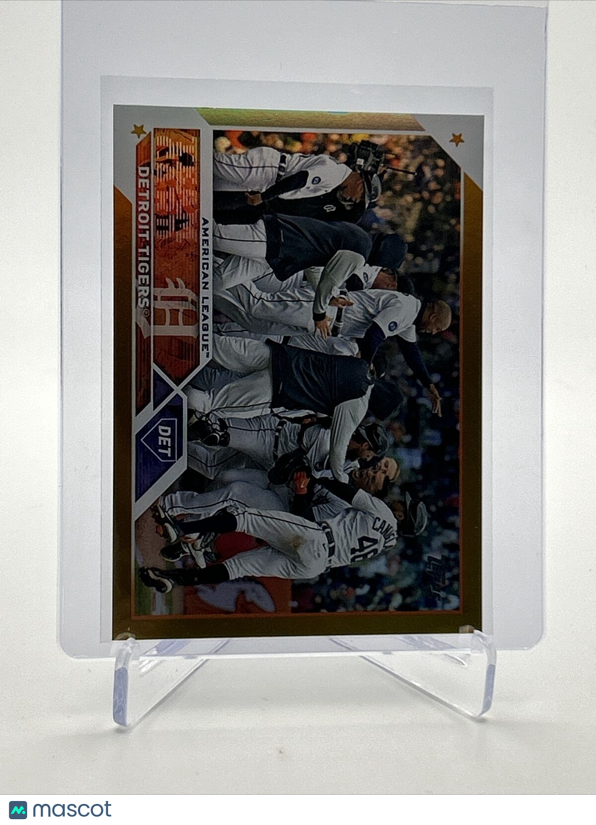 2023 Topps GOLD FOIL Detroit Tigers Baseball Card #555 FREE SHIPPING