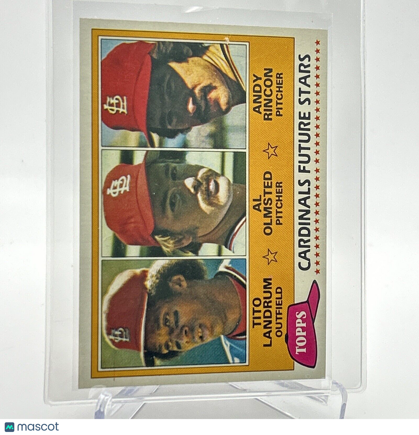 1981 Topps Cardinals Future Stars Rookie Card #244 NM-Mint FREE SHIPPING