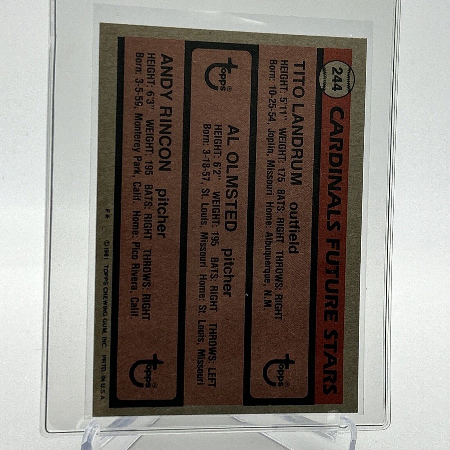 1981 Topps Cardinals Future Stars Rookie Card #244 NM-Mint FREE SHIPPING