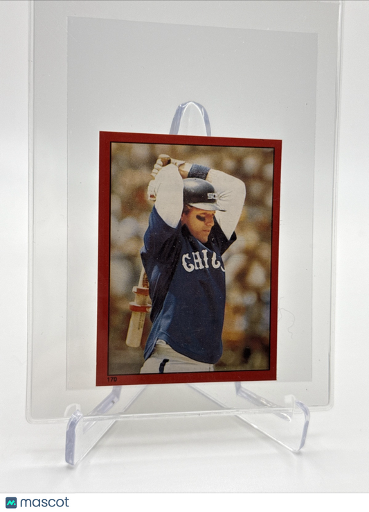 1982 O-Pee-Chee Stickers Carlton Fisk Baseball Card #170 NM-MT FREE SHIPPING