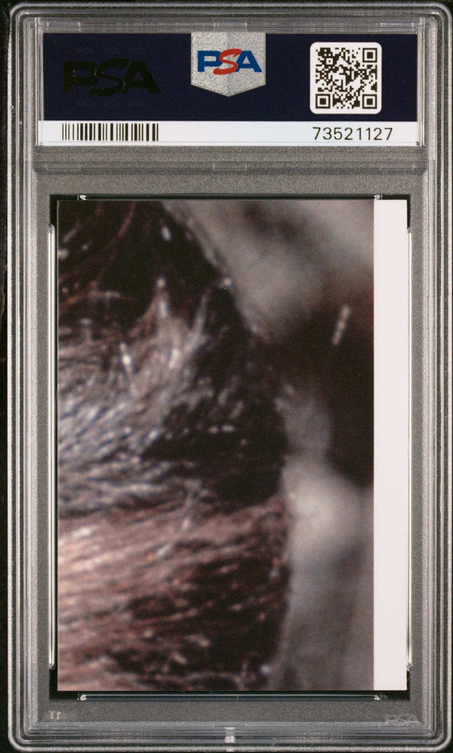 2022 Topps Chrome Sapphire Edition Star Wars Where Has R2-D2 Gone? #80 PSA 10
