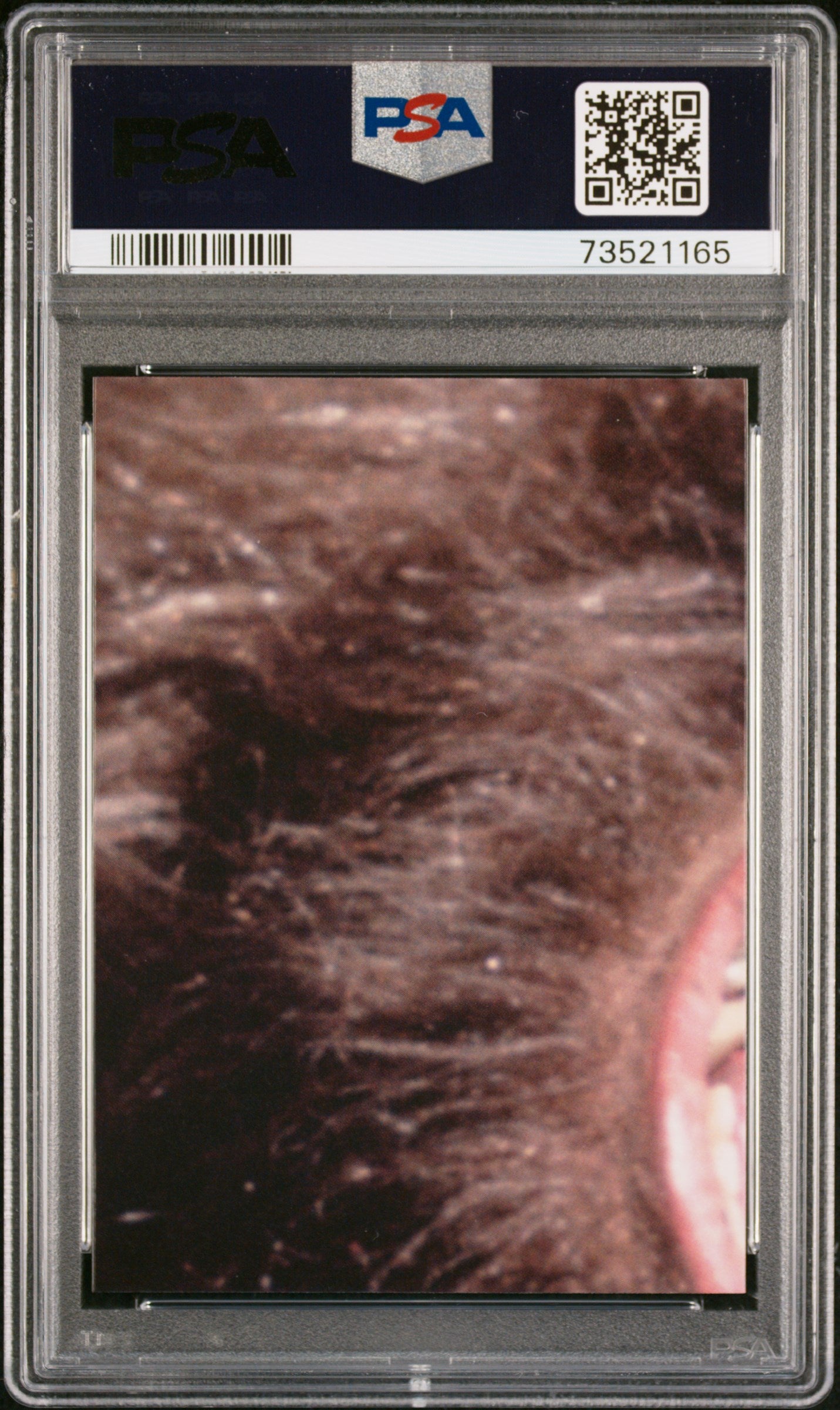 2022 Topps Chrome Sapphire Edition Star Wars Stmtrs. GRD. Solo’S SHP #88 PSA 10