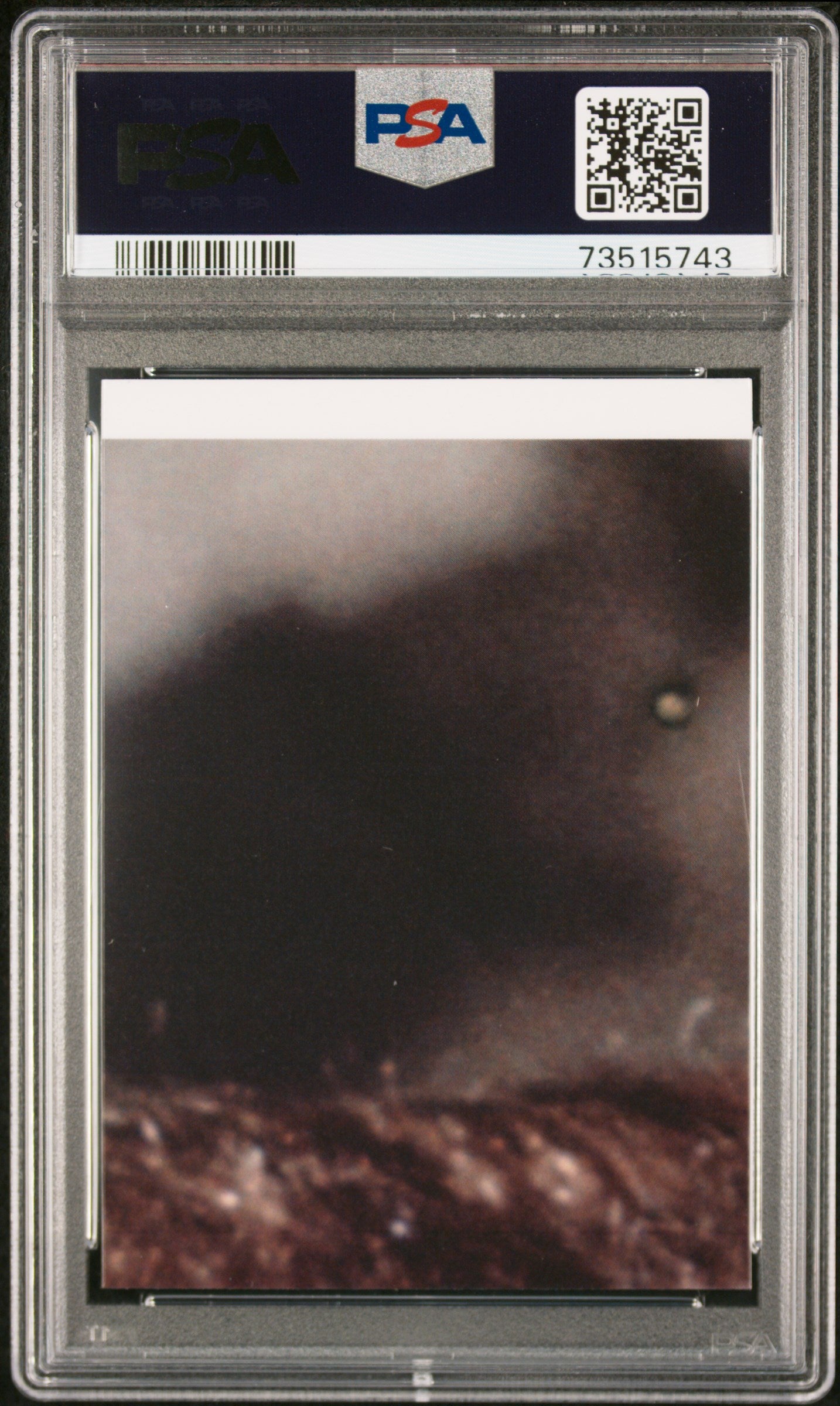 2022 Topps Chrome Sapphire Edition Star Wars Luke’S Aunt And Uncle #104 PSA 10