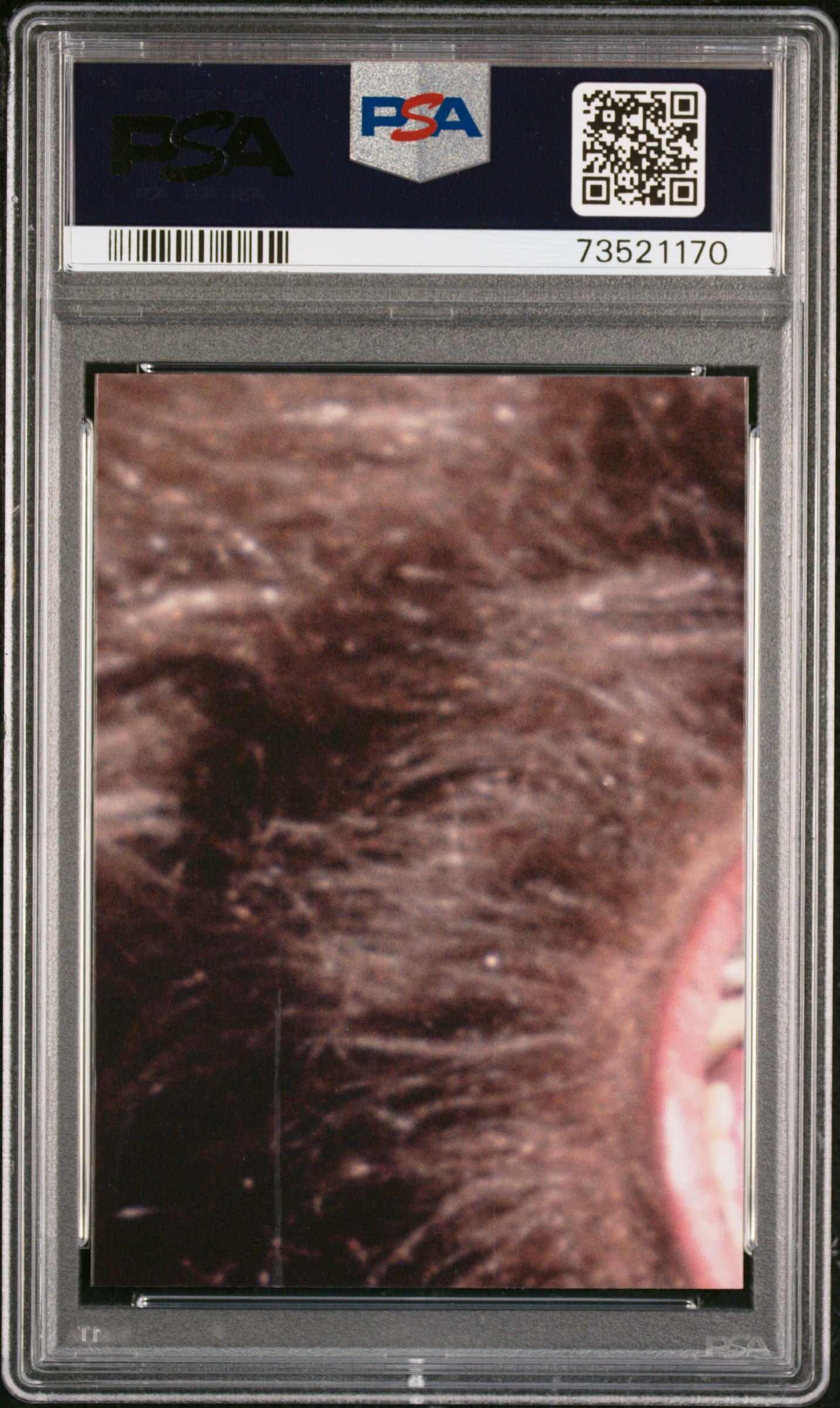 2022 Topps Chrome Sapphire Edition Star Wars Stmtrs. GRD. Solo’S SHP #88 PSA 8
