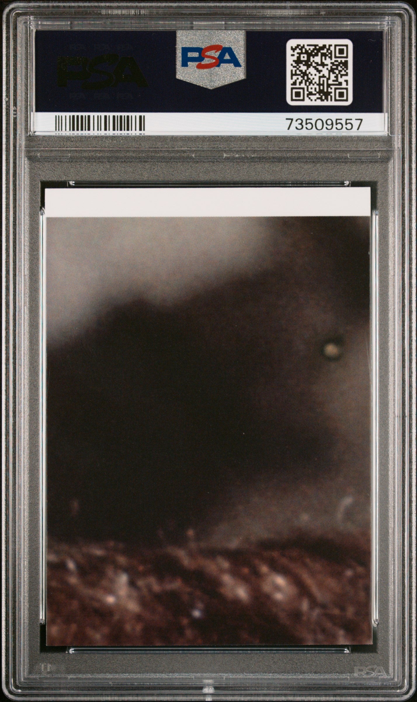 2022 Topps Chrome Sapphire Edition Star Wars Luke’S Aunt And Uncle #104 PSA 9