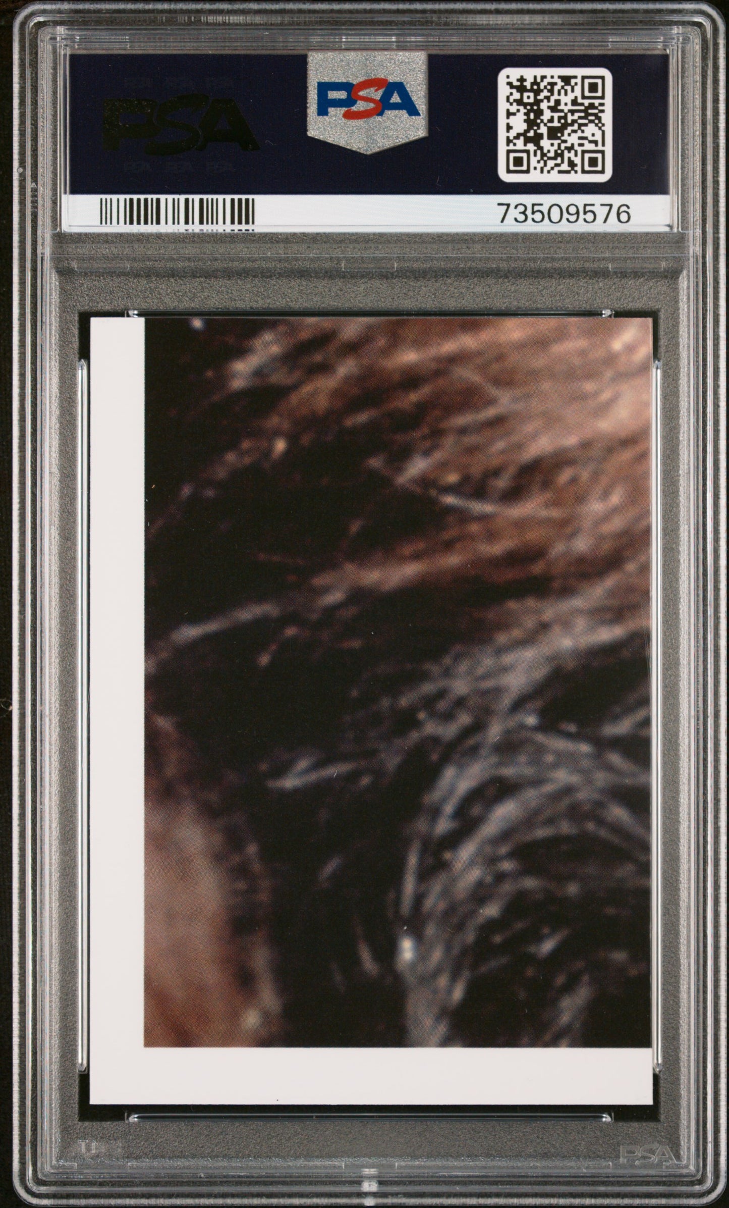 2022 Topps Chrome Sapphire Edition Star Wars Trctr. BM Ben Trns. Off #109 PSA 9